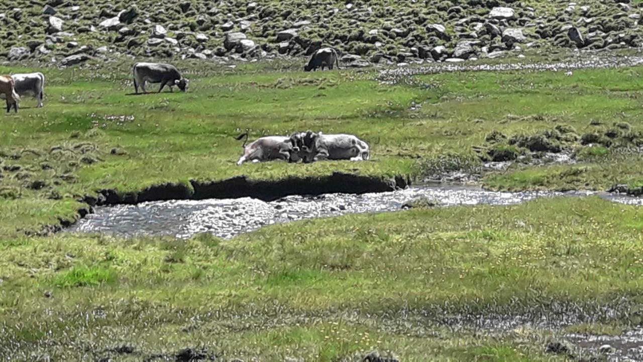 Haus Am Rechten Fleck Kaunertal Kültér fotó