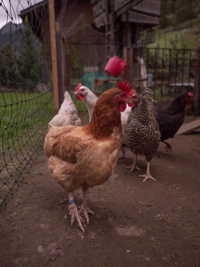 Haus Am Rechten Fleck Kaunertal Kültér fotó